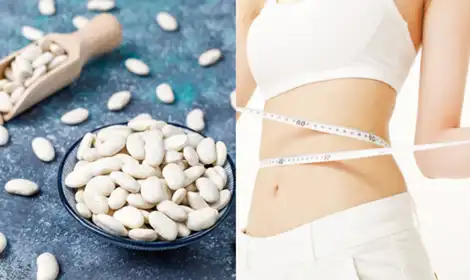 White Kidney Bean Extract Powder for Weight Management Formulations